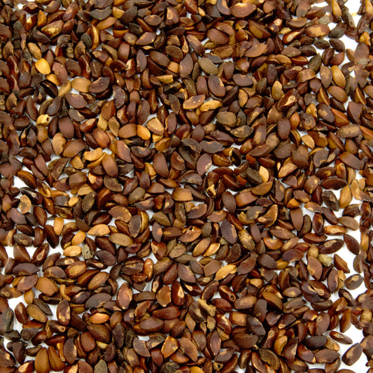 Amla Seeds (Emblica officinalis)