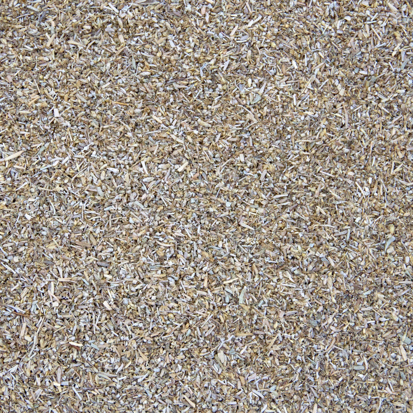 Big Sagebrush Seeds (Artemisia tridentata)