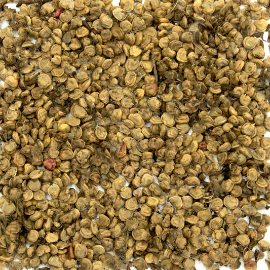 Eastern Prickly Pear Cactus Seeds (Opuntia humifusa)