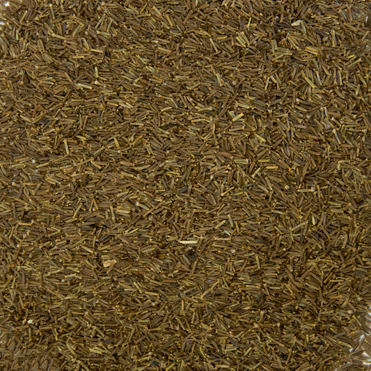 Elecampane Seeds (Inula helenium)