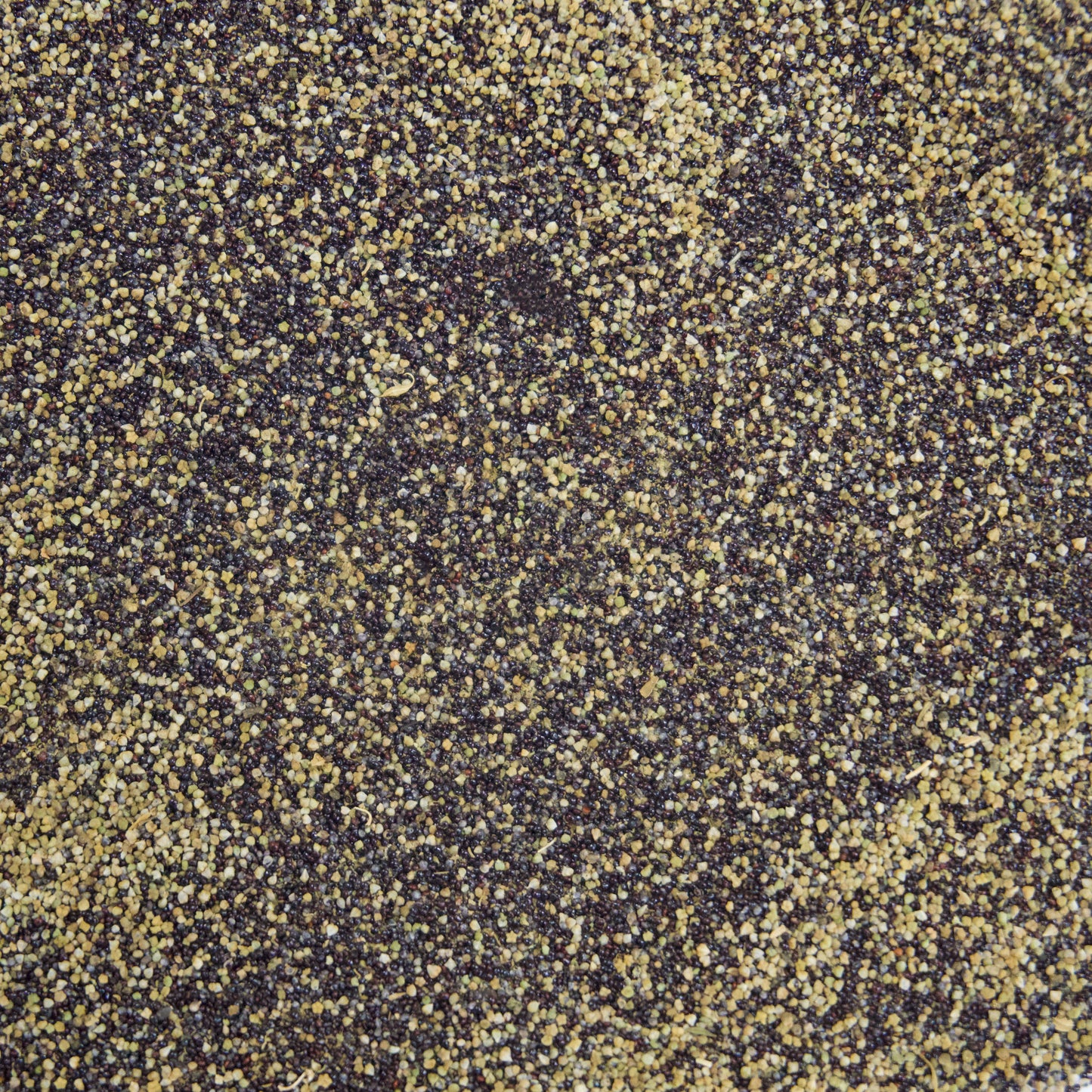 Epazote Seeds (Dysphania ambrodioides)