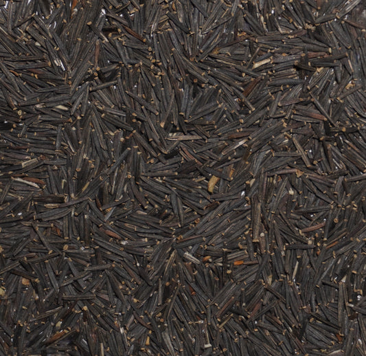 European Arnica Seeds (Arnica montana)