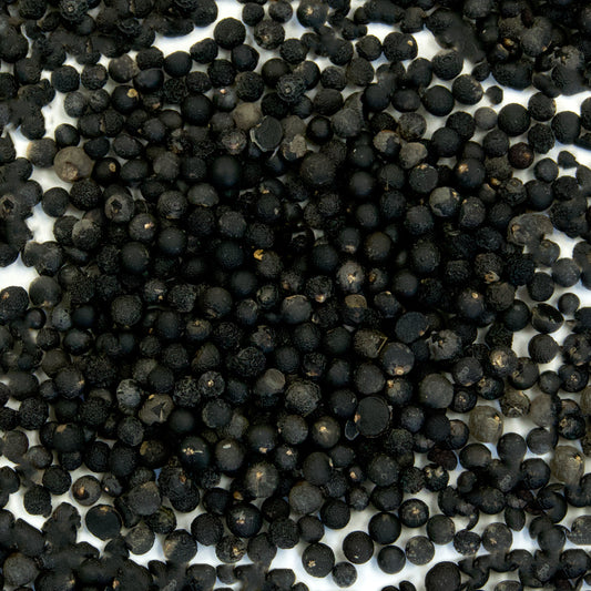 Foxtail Fern Seeds (Asparagus Meyerii)