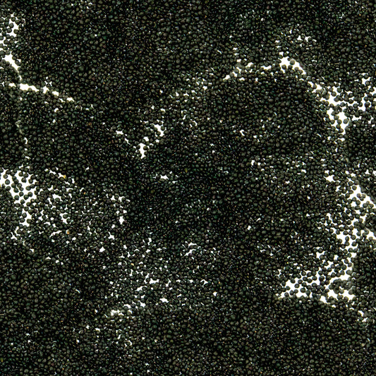 Jewels of Opar Seeds (Talinum paniculatum)