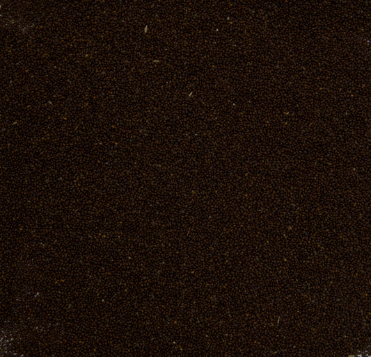 Krishna Tulsi Seeds; Red Holy Basil (Ocimum sanctum)