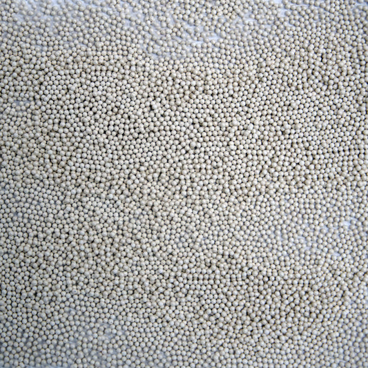 Arena III Apricot Pelleted Lisianthus Seeds (Eustoma grandiflorum)