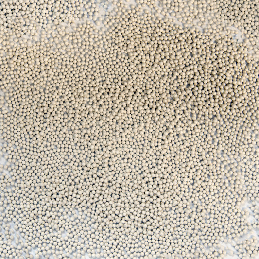 Arena III Red Pelleted Lisianthus Seeds (Eustoma grandiflorum)