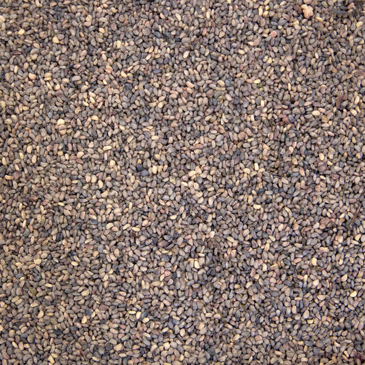 Red Raspberry Seeds (Rubus idaeus)