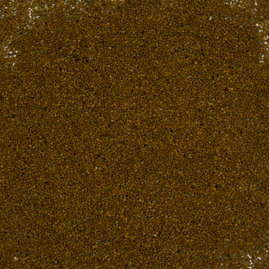 Scullcap Seeds (Scutellaria lateriflora)