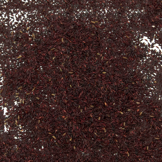 Sea Lavender Seeds (Limonium latifolium)