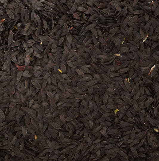 Wild Lettuce Seeds (Lactuca virosa)