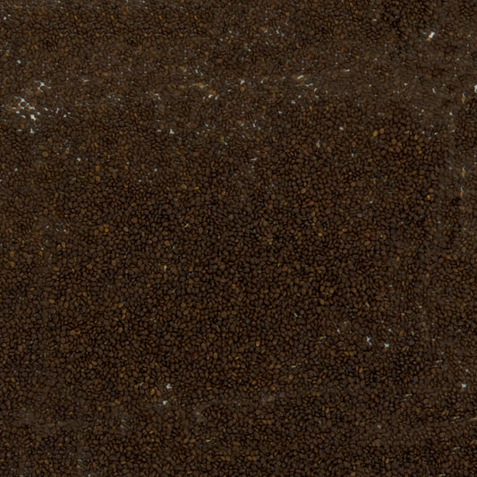 Wild Zaatar Oregano Seeds (Origanum syriacum)