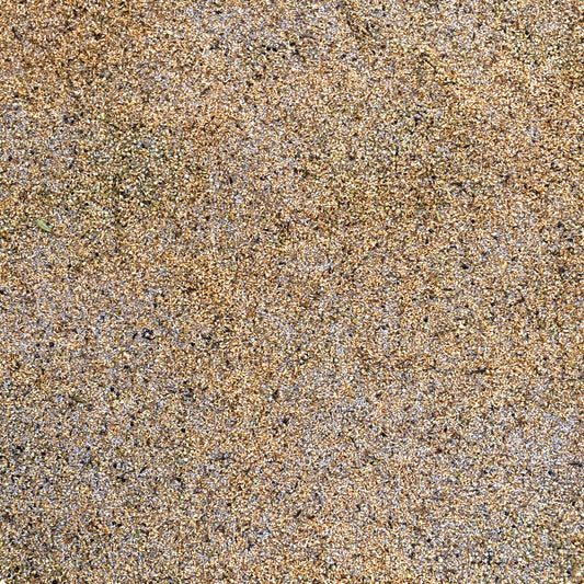 Chinese Wormwood Seeds (Artemisia annua)