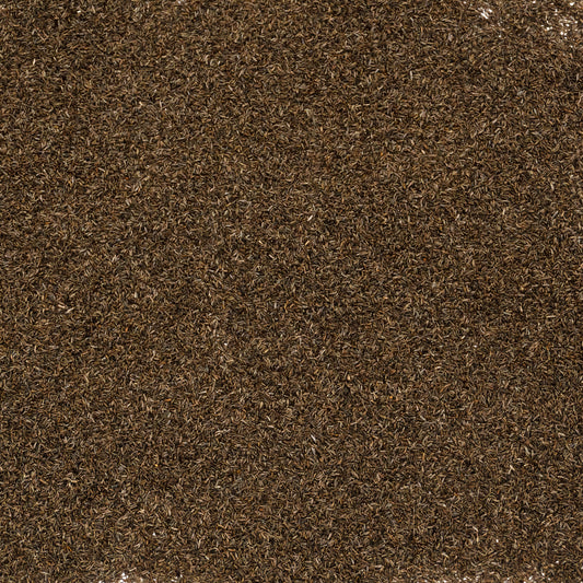 Mugwort Seeds (Artemisia vulgaris)