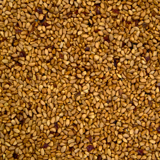 Rose Hip Seeds (Rosa canina)