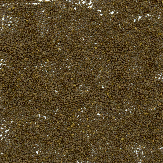 Scarlet Bee Balm Seeds (Monarda didyma)