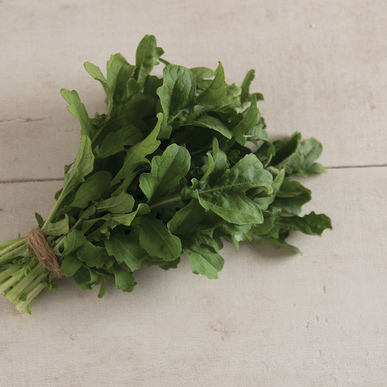 Esmee Arugula Seeds (Eruca sativa)