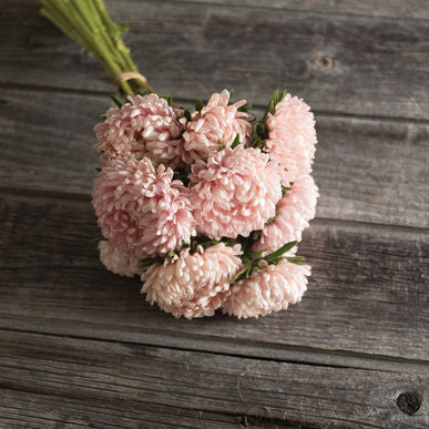 Tower Chamois China Aster Seeds (Callistephus chinensis)