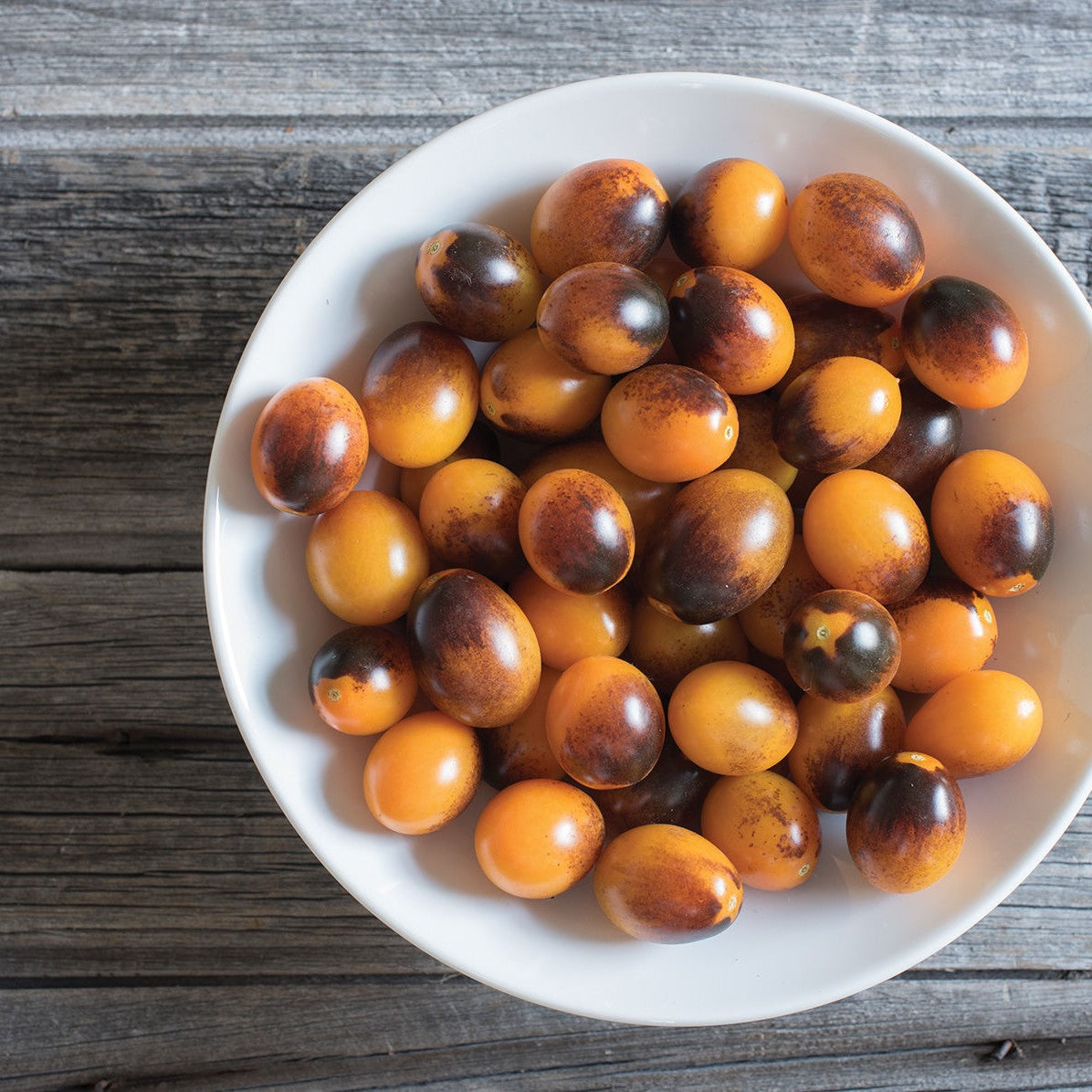 Indigo Kumquat Tomato Seeds (Solanum lycopersicum)