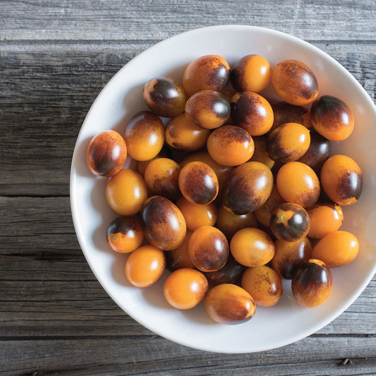 Indigo Kumquat Tomato Seeds (Solanum lycopersicum)
