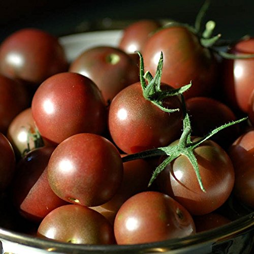 Chocolate Cherry Tomato Seeds