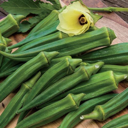 Emerald Velvet Okra Seeds