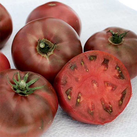 Carbon Tomato Seeds
