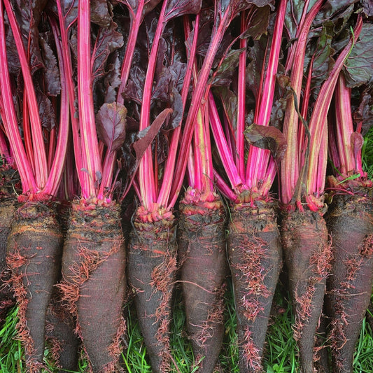 Crapaudine Beet Seeds