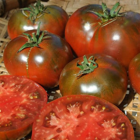 Paul Robeson Tomato Seeds