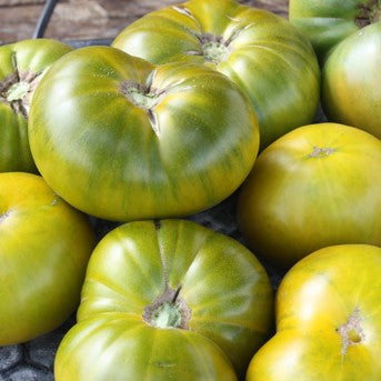 Emerald Evergreen Tomato Seeds