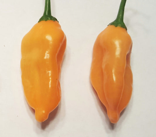 Aji Mango Pepper Seeds