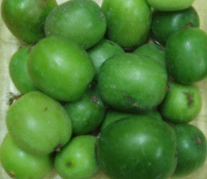 Baby Kiwi Seeds (Actinidia arguta)