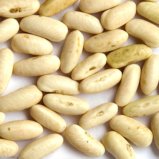 White Rice Bush Bean Bean Seeds