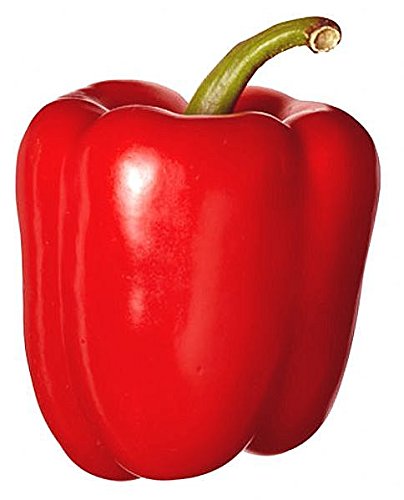 Big Red Bell Pepper Seeds