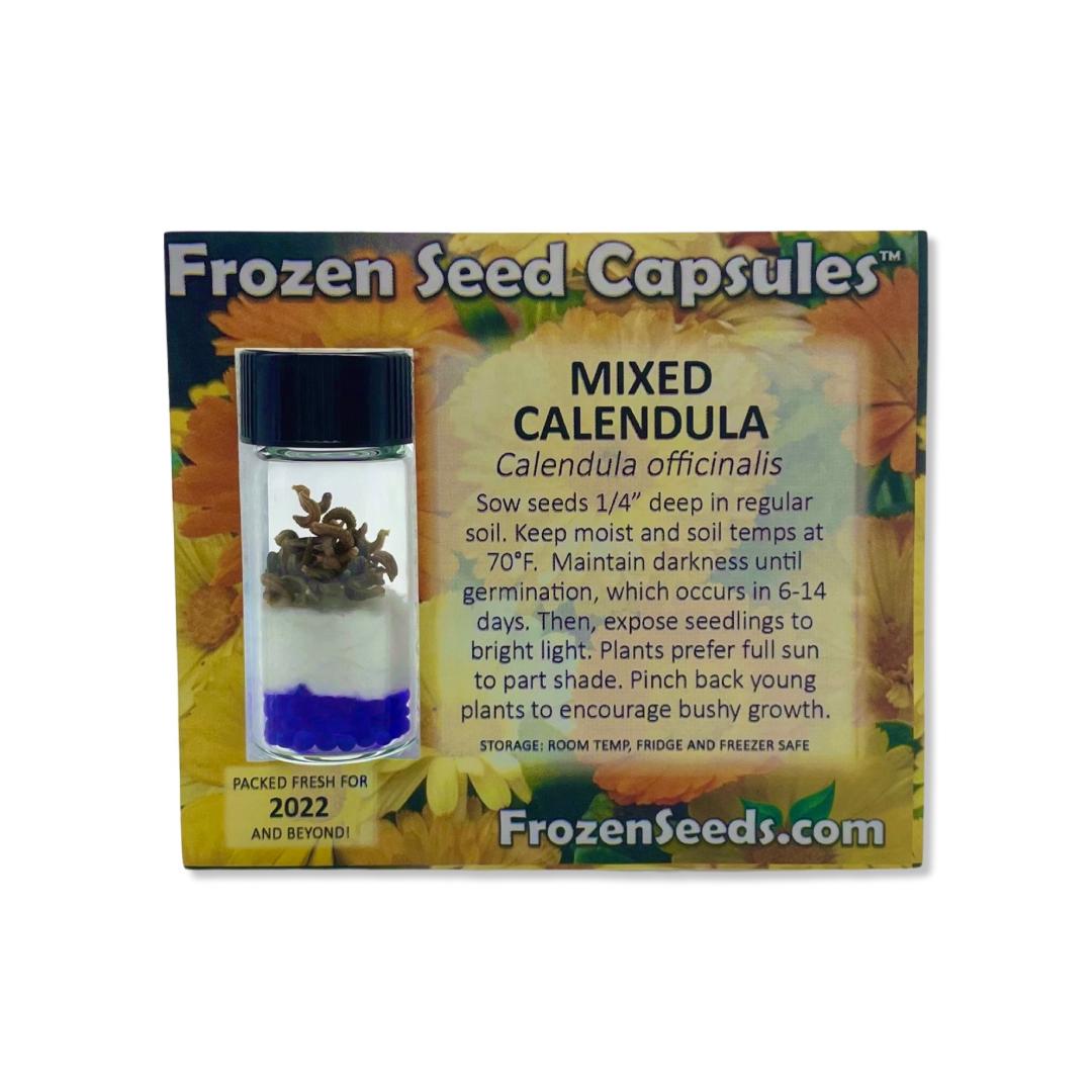 Mixed Calendula Seeds (Calendula officinalis)