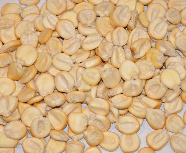 Cuzco Cancha Corn Seeds