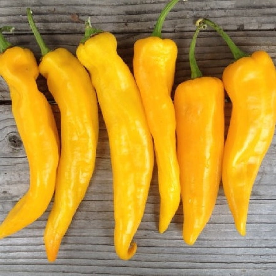 Golden Marconi Pepper Seeds