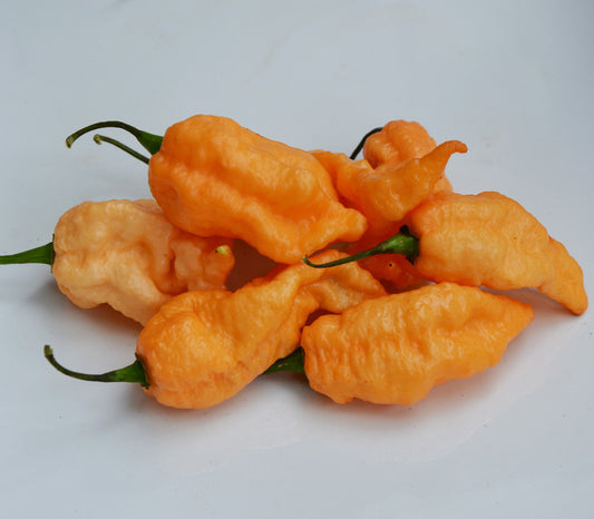 Jay's Peach Ghost Scorpion Pepper Seeds
