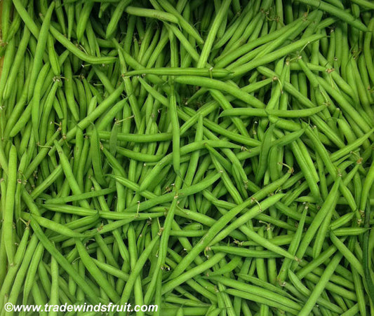 Petite Filet Bean Seeds