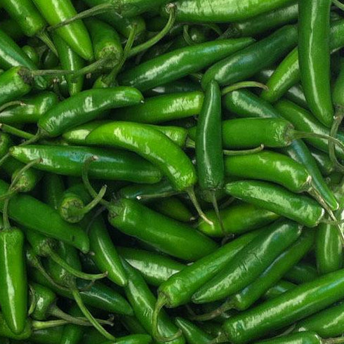 Serrano Huasteco Pepper Seeds