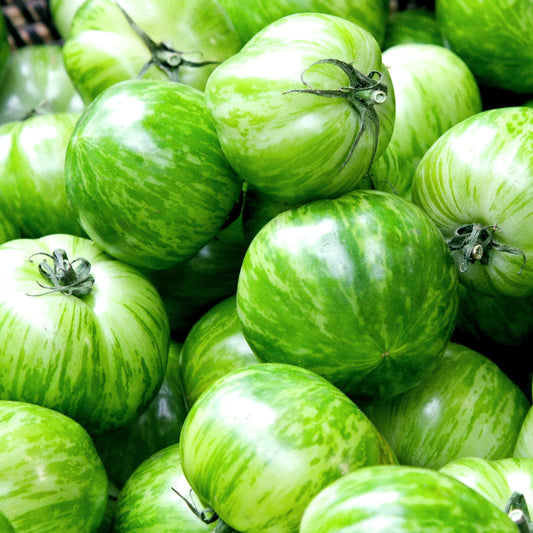 Green Zebra Tomato Seeds