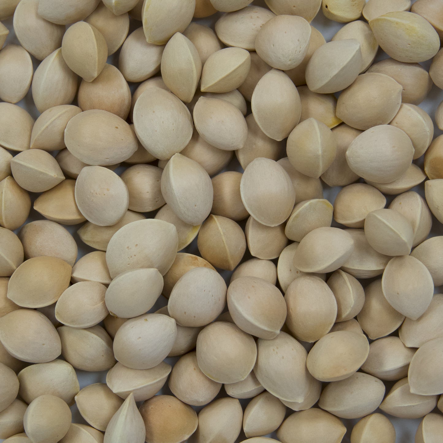 Ginkgo Tree Seeds (Ginkgo biloba) [PACKET ONLY]