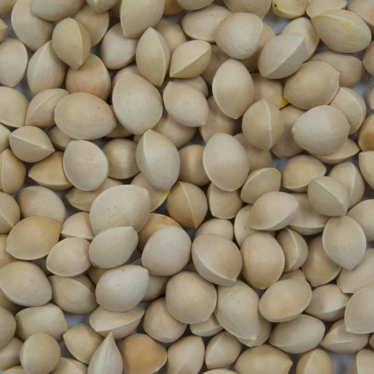 Ginkgo Tree Seeds (Ginkgo biloba) [PACKET ONLY]