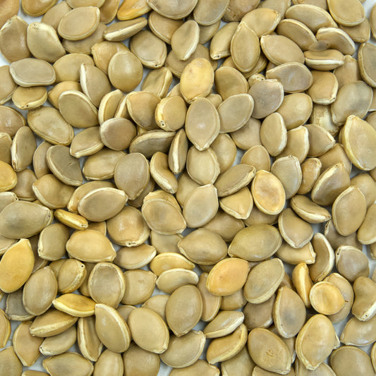 North Georgia Candy Roaster Squash Seeds (Cucurbita maxima) [PACKET ONLY]