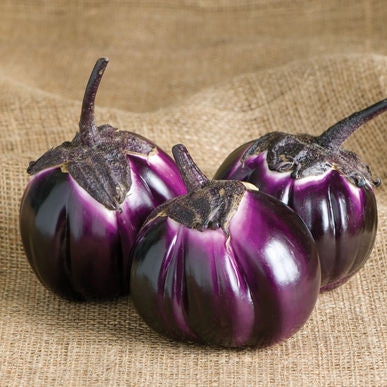 Barbarella Eggplant Seeds (Solanum melongena)
