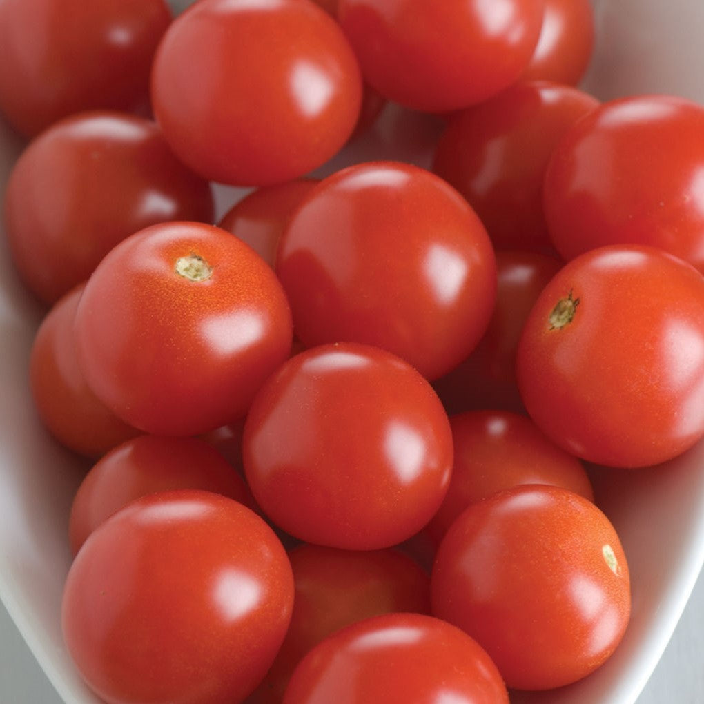BHN-968 Cherry Tomato Seeds