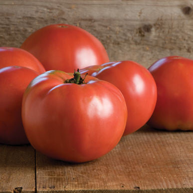 Martha Washington Tomato Seeds (Solanum lycopersicum)