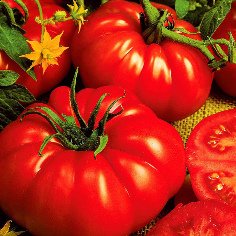 Beefsteak Tomato Seeds