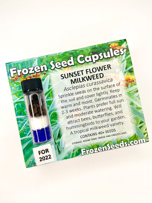 Sunset Flower Milkweed Seeds (Asclepias currassavica)