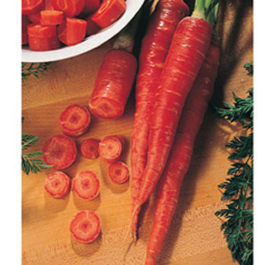 Nutri-Red Carrot Seeds (Daucus carota var. sativus)